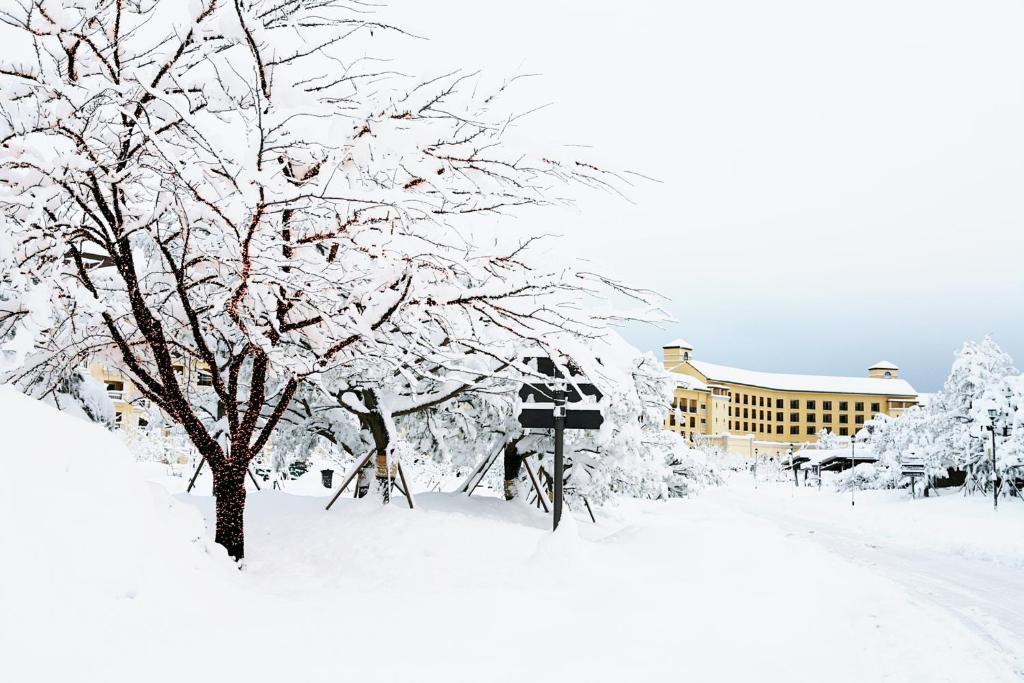 Hanwha Resort Seorak Sorano Σόκο Εξωτερικό φωτογραφία